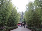 bambusy, Black Dragon Pool, Kunming