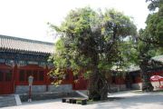 Konfuciův chrám, Peking