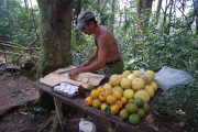 občerstvení, cestou na El Yunque