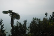 výhled z El Yunque, bohužel byly mraky