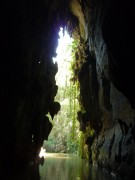 Cueva del Indio, Viňales