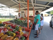 tržnice s ovocem a zeleninou (Bazar) u Anse a la Mouche