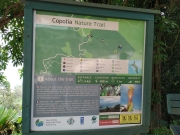 Copolia Trail