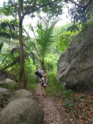 Anse Capucins trail