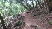 Ros Lepa trail